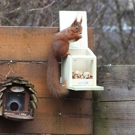 Woodburn Ground-Floor Apartment In Quiet Setting In Pitlochry Esterno foto